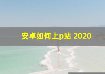 安卓如何上p站 2020